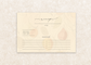 Still Life Kitchen Recipe Cards