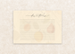Still Life Kitchen Recipe Cards